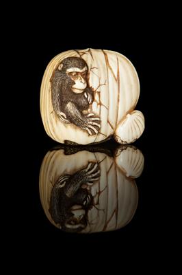 d74ea459-0b2d-4f70-a977-8b89606f17f5.jpg; 07184; ;